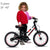 GBE-14-1-BR