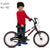 GBE-16-1-BR