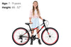 24 Inch Bike